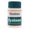 fill-rx-plus-Cystone